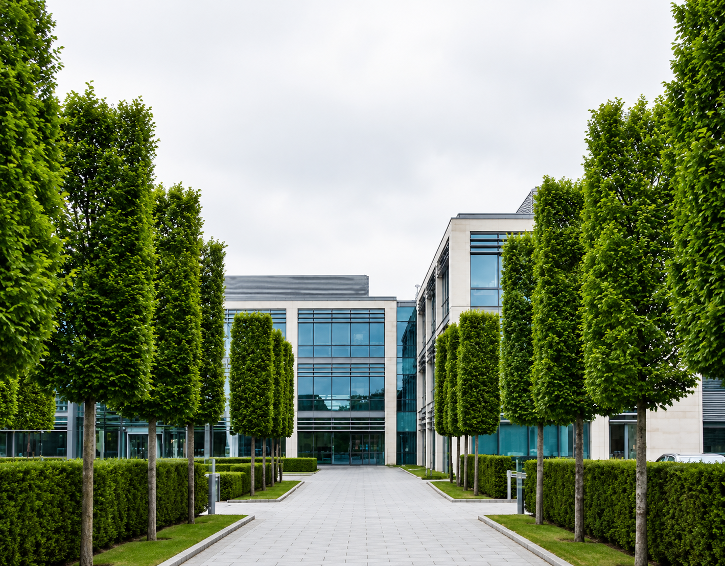 Tree-lined approach to a commercial building